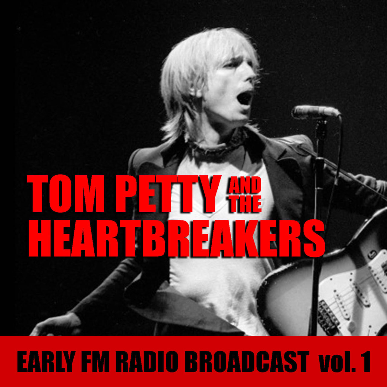 ■究極プロモ盤!!最高音質USオリジナルプロモ盤◾️TOM PETTY and T Tom Petty And The Heartbreakers [輸入盤][1LP][アナログ] - トム